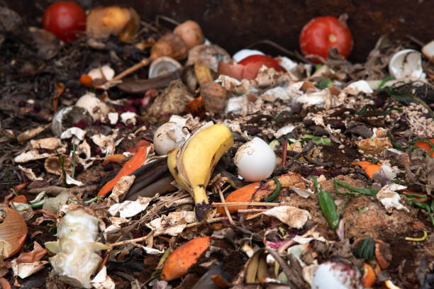 istock Organic food leftovers. Concept Organic waste, clean environment 1217349806