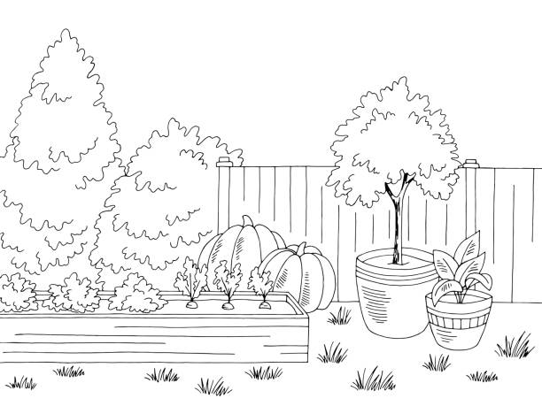 ilustraciones, imágenes clip art, dibujos animados e iconos de stock de gráfico de jardín negro blanco paisaje esbozo de ilustración vector - wood carrot vegetable farm