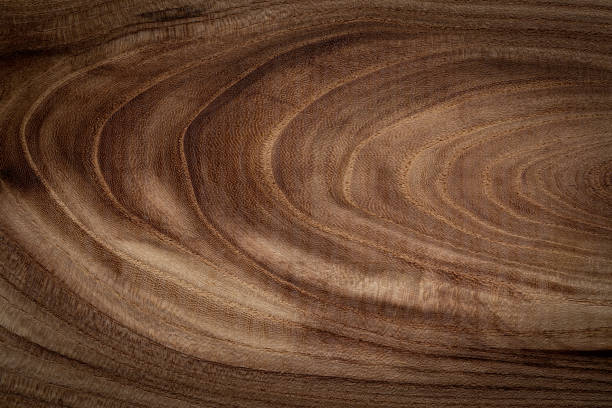 istock Elm texture background. Old elm wooden board texture. 1217352691