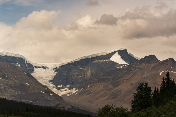 istock landscape over the icefields parkway, Alberta, Canada 1217356265