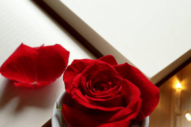 istock Red rose with books and lights 1217358068