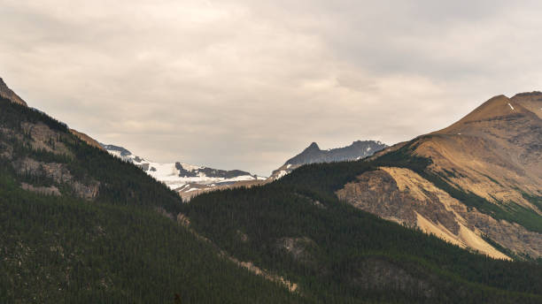 istock landscape over the icefields parkway, Alberta, Canada 1217358138