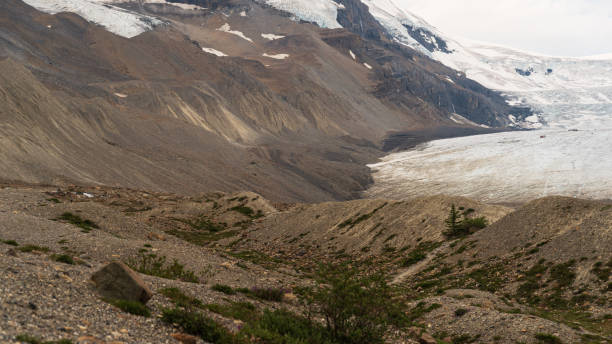 istock columbia Icefield, Alberta, Canada 1217358735