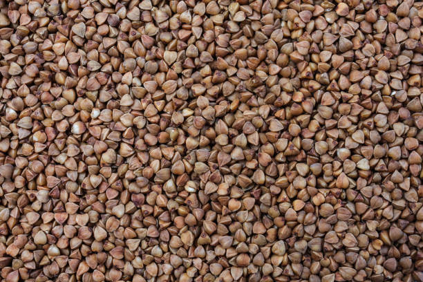 istock buckwheat. raw buckwheat. dry buckwheat background. buckwheat texture 1217360014