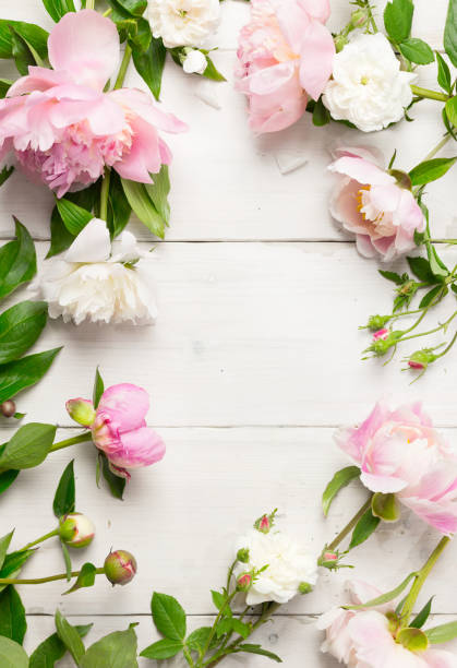 istock Copy space framed with delicate pink flowers - peonies and wild roses 1217361445