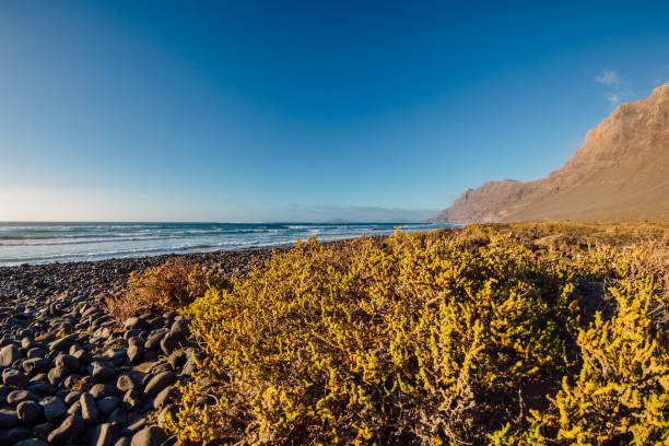 Famara beach, scenic landscape with plants, ocean and mountains in Lanzarote, Canary islands Famara beach, scenic landscape with plants, ocean and mountains in Lanzarote, Canary islands caleta de famara lanzarote stock pictures, royalty-free photos & images