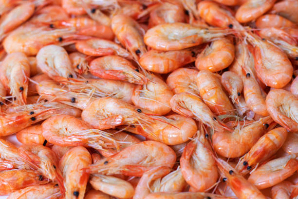 istock Boiled shrimps on white background. macro 1217367916