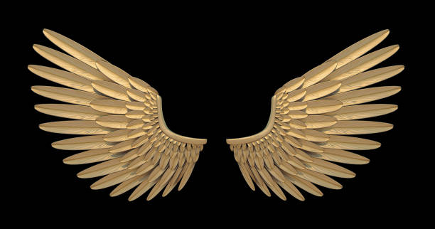 istock Gold angel wing. 1217368789