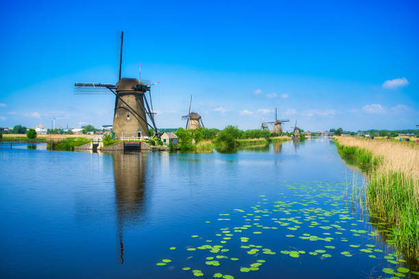 istock Fantastic view of Windmills at Holland 1217368869