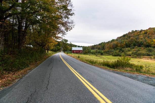 istock Deserted country road and cloudy sly in fall 1217374422