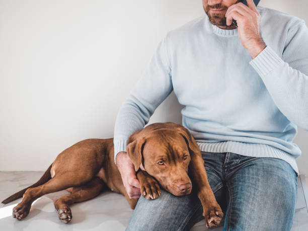 bel homme et un chiot charmant. plan rapproché - vet dog puppy illness photos et images de collection