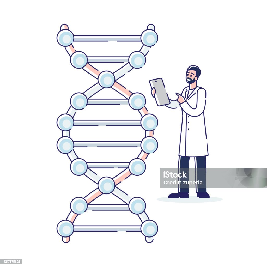 Ilustración de Concepto De Ingeniería Genética Científico Profesional  Investigando La Estructura Del Adn De La Molécula Bioquímica Farmacéutica E  Investigación Científica Dibujos Animados Esquema Lineal Ilustración  Vectorial De Estilo Plano y más