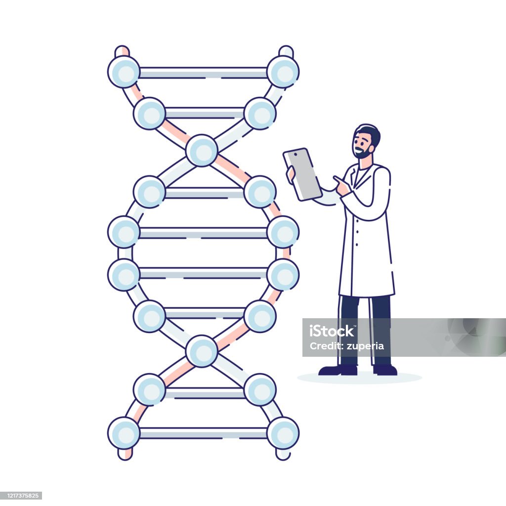 Ilustración de Concepto De Ingeniería Genética Científico Profesional Investigando La Estructura Del Adn De La Molécula Bioquímica Farmacéutica E Investigación Científica Dibujos Animados Esquema Lineal Ilustración Vectorial De Estilo Plano y más Ilustración de Concepto De Ingeniería Genética Científico Profesional Investigando La Estructura Del Adn De La Molécula Bioquímica Farmacéutica E Investigación Científica Dibujos Animados Esquema Lineal Ilustración Vectorial De Estilo Plano y más