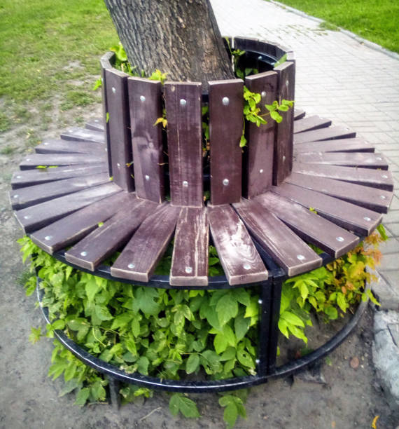 Park bench of an unusual round shape around a tree.