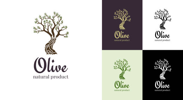 элегантная оливковая елка изолированная икона. вектор дерева логотип дизайн концепции. иллюстрация силуэта оливкового дерева. натурально� - extra virgin olive oil stock illustrations