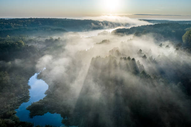 istock Fog over river with rays in autumn, aerial view 1217384534