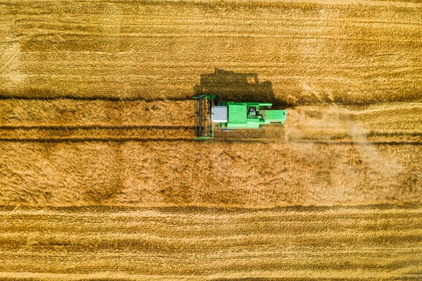 istock Top down view of green harvester working on gold field 1217387301