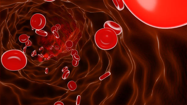 istock 3D illustration of red blood cell  under the microscope. 1217387840