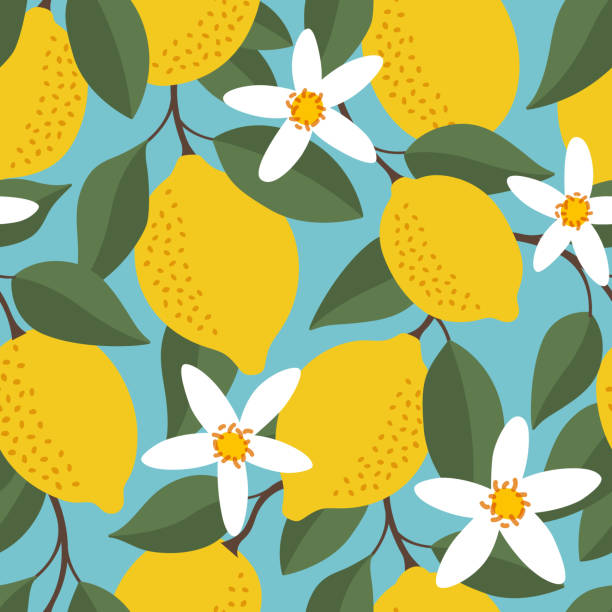 ilustraciones, imágenes clip art, dibujos animados e iconos de stock de patrón tropical sin costuras con limones amarillos. fondo repetido de frutas. impresión brillante vectorial para tela o papel pintado. - lemon backgrounds fruit textured