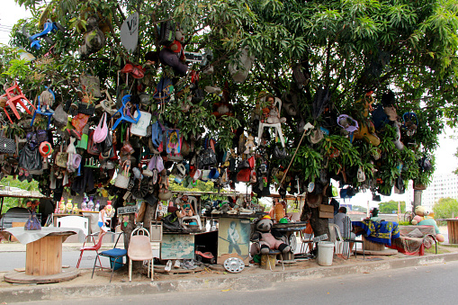 salvador, bahia / brazil - october 2, 2012: mango trees are seen with several objects tied to their branches in the neighborhood of Cabula in the city of Salvador.\