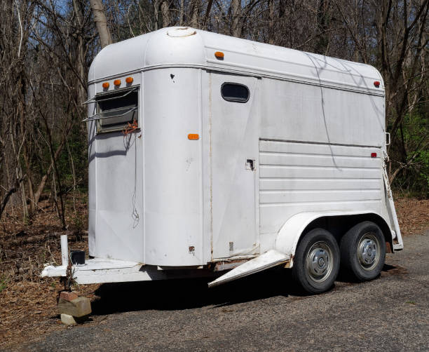 istock Goat and Horse Trailer 1217392571