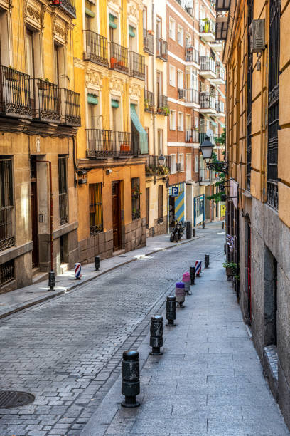 istock Historic european street lined with decorative buildings 1217394549