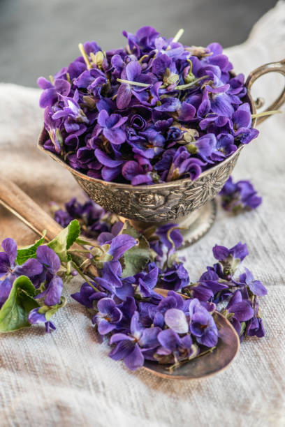 istock Violet violets flowers bloom from a spring forest. Viola odorata styled close up studio shot spring edible flowers in a glass jar used as alternative herbal tea remedy 1217400232