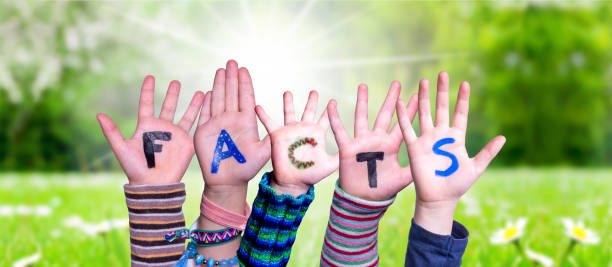 istock Children Hands Building Word Facts, Grass Meadow 1217402618