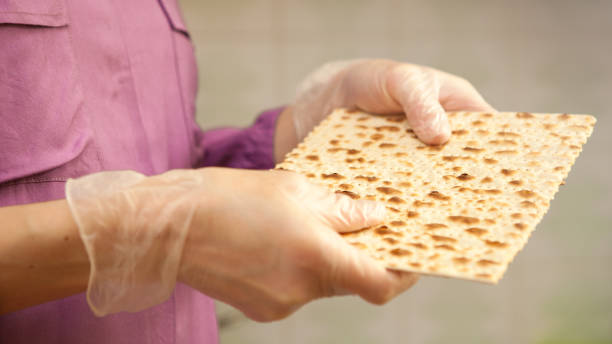mujer con guantes de protección sostiene matzo - passover matzo bread middle fotografías e imágenes de stock