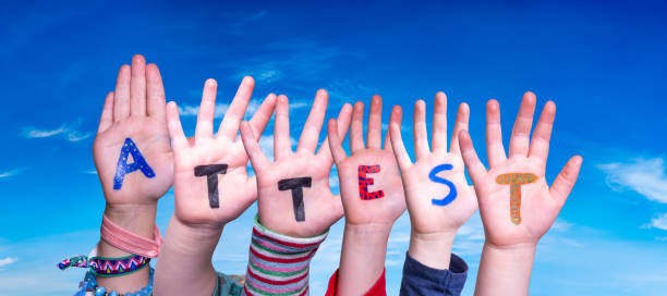 Children Hands Building Word Attest Means Attestation, Blue Sky Children Hands Building Colorful German Word Attest Means Attestation. Blue Sky As Background babyproof stock pictures, royalty-free photos & images