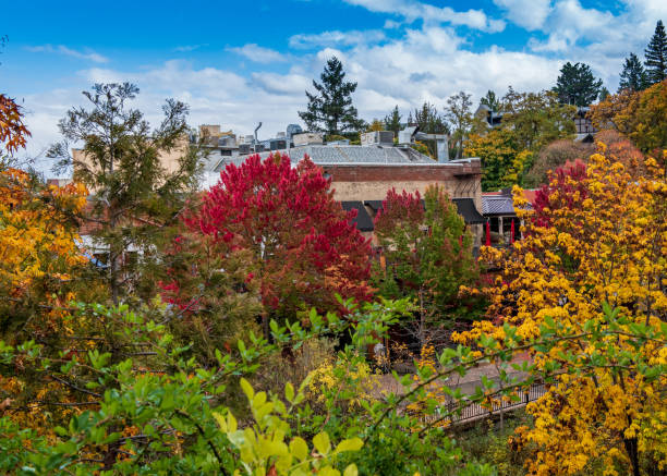 ashland main street em queda - shakespeare and company - fotografias e filmes do acervo