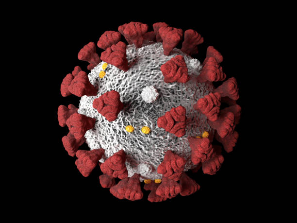istock Covid-19 Coronavirus SARS-CoV-2 cell pandemic virus 1217405916