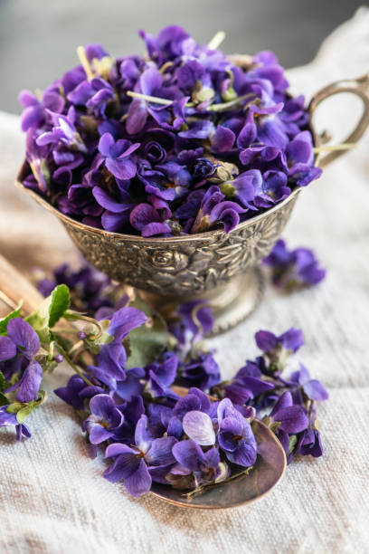 istock Violet violets flowers bloom from a spring forest. Viola odorata styled close up studio shot spring edible flowers in a glass jar used as alternative herbal tea remedy 1217405942