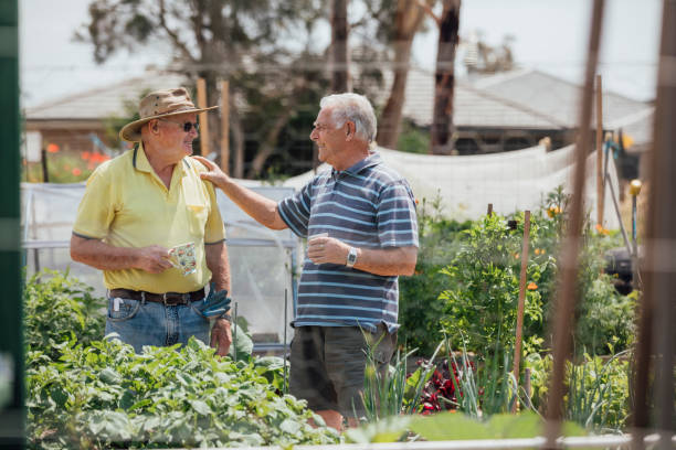 Friends Talking A shot of two senior friends talking together in the allotment. two heads are better than one stock pictures, royalty-free photos & images