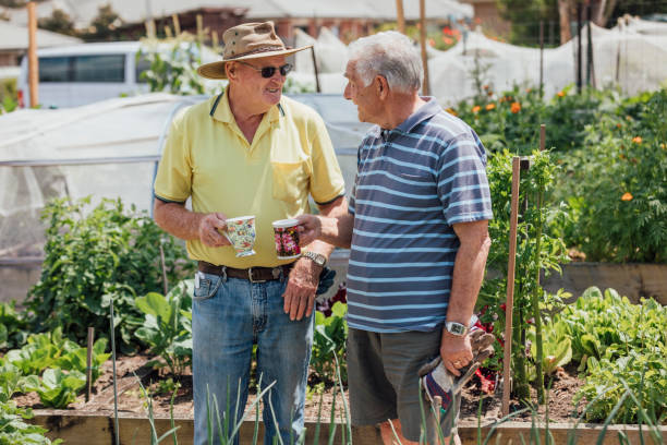 Having a Cup of Tea A shot of two senior friends having a cup of tea together in the allotment. two heads are better than one stock pictures, royalty-free photos & images