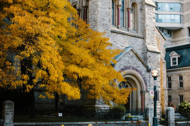 istock Church with autumnal tree 1217409388