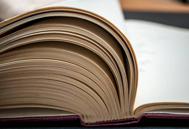 istock Book pages close up on a dark background. 1217411026