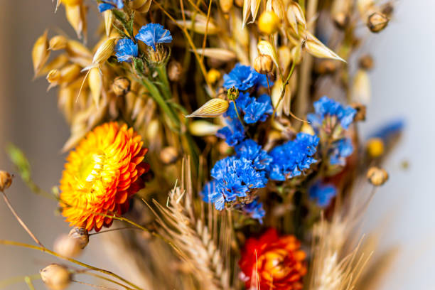 arranjo de flores didukh macro closeup na tradição tradicional ucraniana para o natal no parapeito da janela com buquê seco no inverno - 18630 - fotografias e filmes do acervo