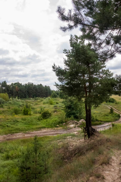 istock Sand quarry in the forest. Breakage or precipice, fall... Summer landscape 1217412479