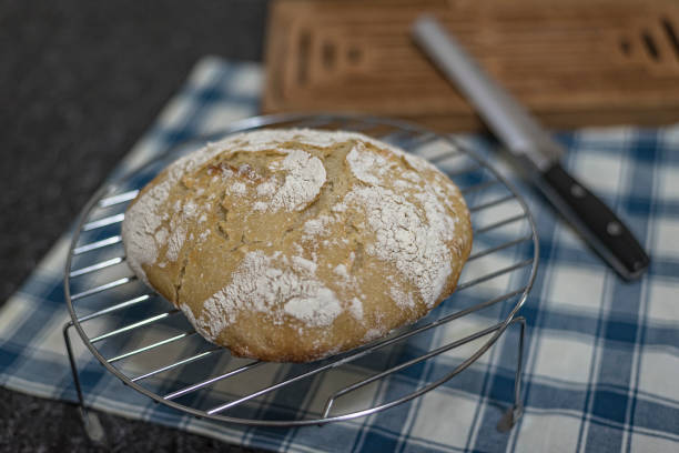 Homemade - Rustic Italian Bread