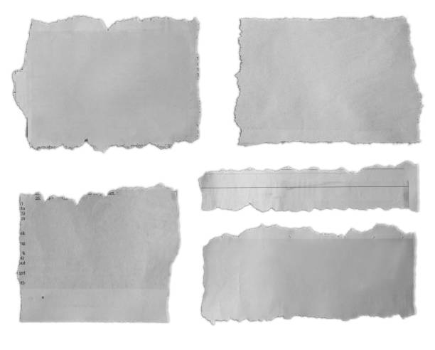 istock Torn pieces of paper 1217415018
