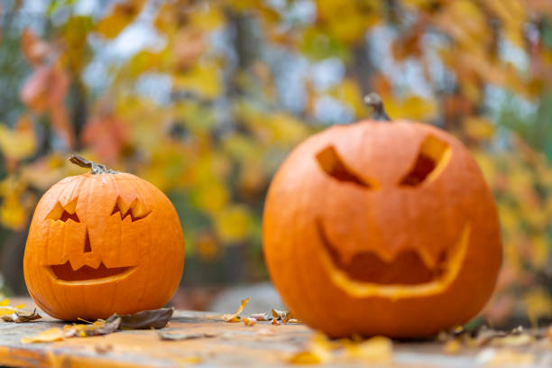 istock halloween pumpkin, autumn still life 1217415089