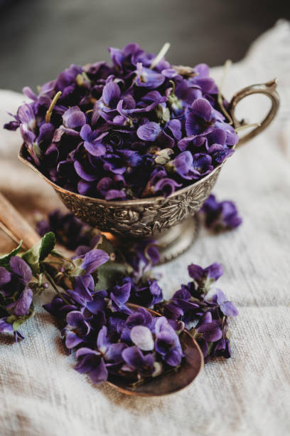 istock Violet violets flowers bloom from a spring forest. Viola odorata styled close up studio shot spring edible flowers in a glass jar used as alternative herbal tea remedy 1217415436
