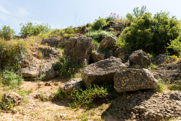 istock Ayun River Nature Reserve in northern Israel 1217418112