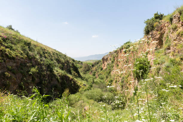 istock Ayun River Nature Reserve in northern Israel 1217420733