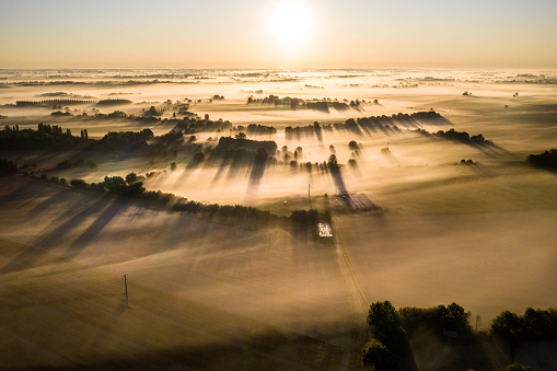 Piencourt, Normandy, France. Aerial view of fields and trees under with fog in rural France at dawn