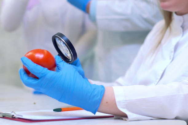istock Laboratory workers examining fruits and vegetables and making an 1217425622