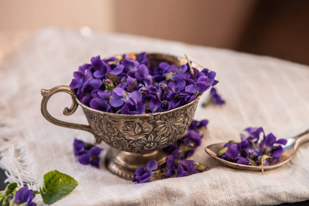 istock Violet violets flowers bloom from a spring forest. Viola odorata styled close up studio shot spring edible flowers in a glass jar used as alternative herbal tea remedy 1217425844