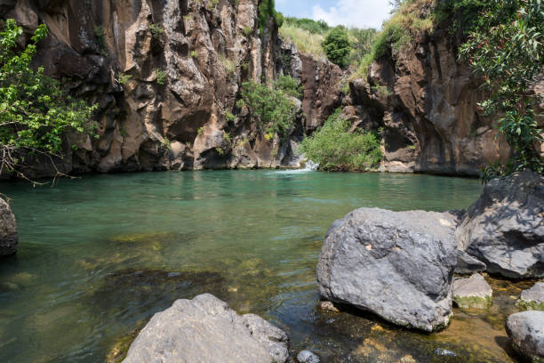 istock Saar Falls at Golan, Northern Israel 1217425981