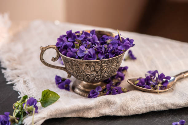 istock Violet violets flowers bloom from a spring forest. Viola odorata styled close up studio shot spring edible flowers in a glass jar used as alternative herbal tea remedy 1217426093